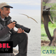 Illustration for article titled Conservationist Carl Safina Explains Why Animals Treat Us Better Than We Treat Them